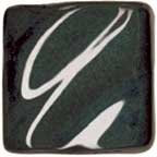 O02 Black Tulip