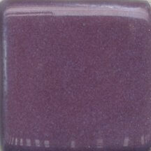 MBG-053 Pansy Purple