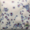 SW-153 INDIGO RAIN