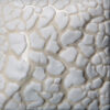 SW-403 WHITE MUDCRACK