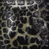 SW-404 BLACK MUDCRACK