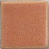 MBG-242  PAPAYA
