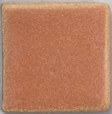 MBG-242  PAPAYA