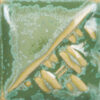 SW-193 IVY