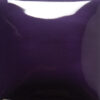 FN-017  PURPLE
