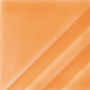 FN-207  ORANGE SLICE