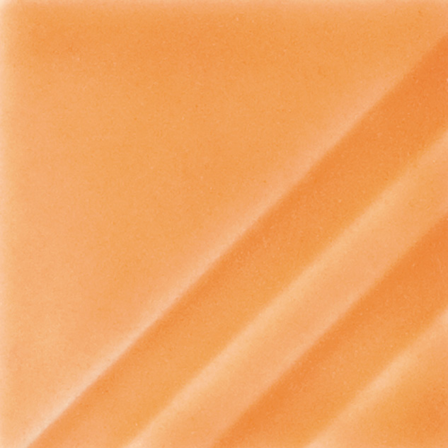 FN-207  ORANGE SLICE