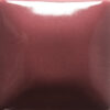 FN-025  RASPBERRY WHIP