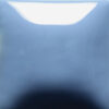 FN-031  CORN FLOWER BLUE