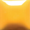 FN-044  YELLOW-ORANGE