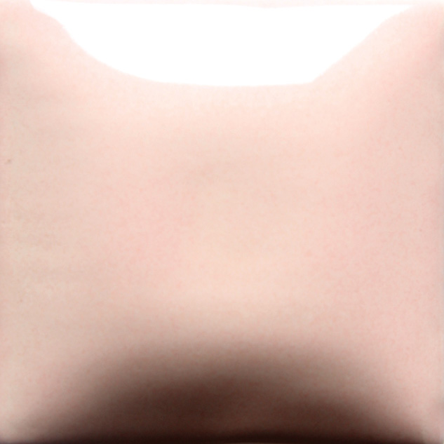 FN-047  LIGHT PINK
