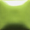 FN-054  PISTACHIO