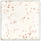 1123 SATIN SPECKLE PINT