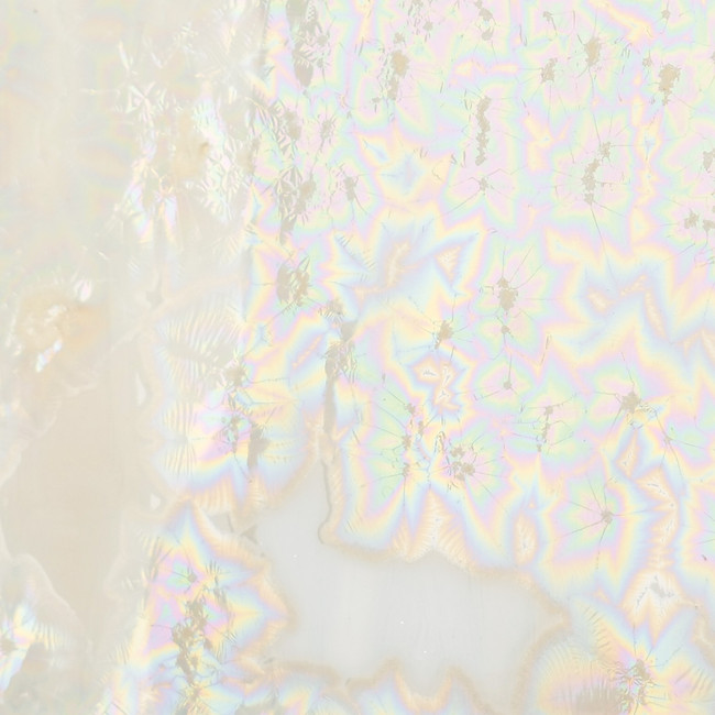 CO 06 SUPERNOVA PINT