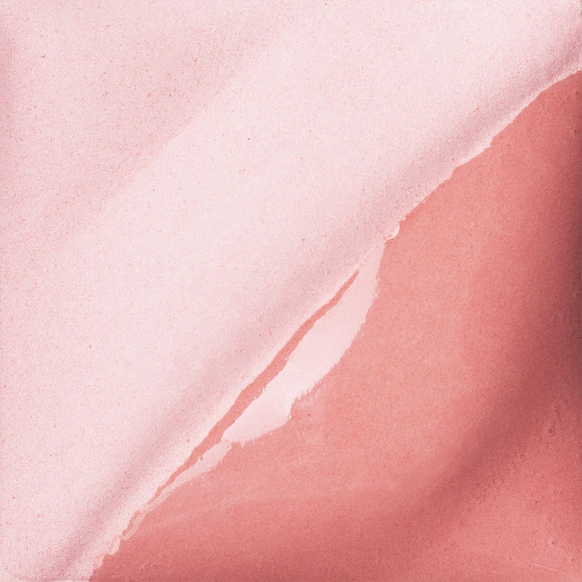 V-317 CORAL