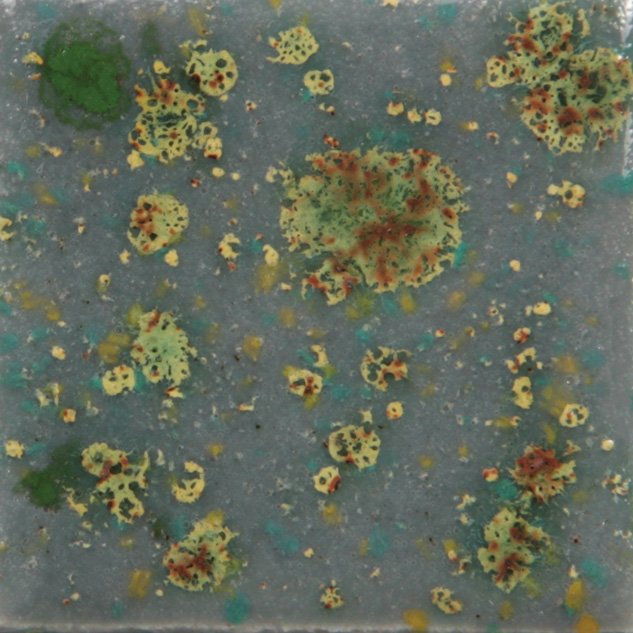 CG991 - MOUNTAIN MOSS - PINT