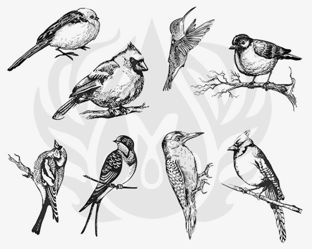 DSS0108 - AVIARY SILKSCREEN
