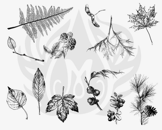 DSS0111 - BOTANICAL LEAVES SILKSCREEN