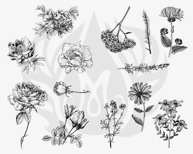 DSS0112 - FLOWERS SILKSCREEN
