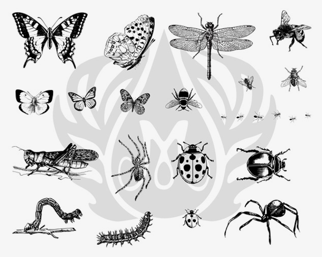 DSS0113 - BUGS SILKSCREEN