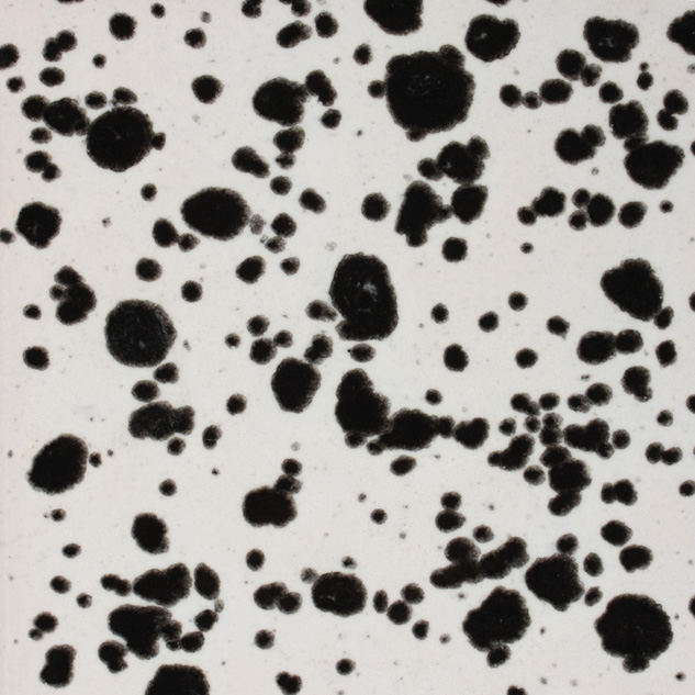 CG977 - INK SPOTS - PINT