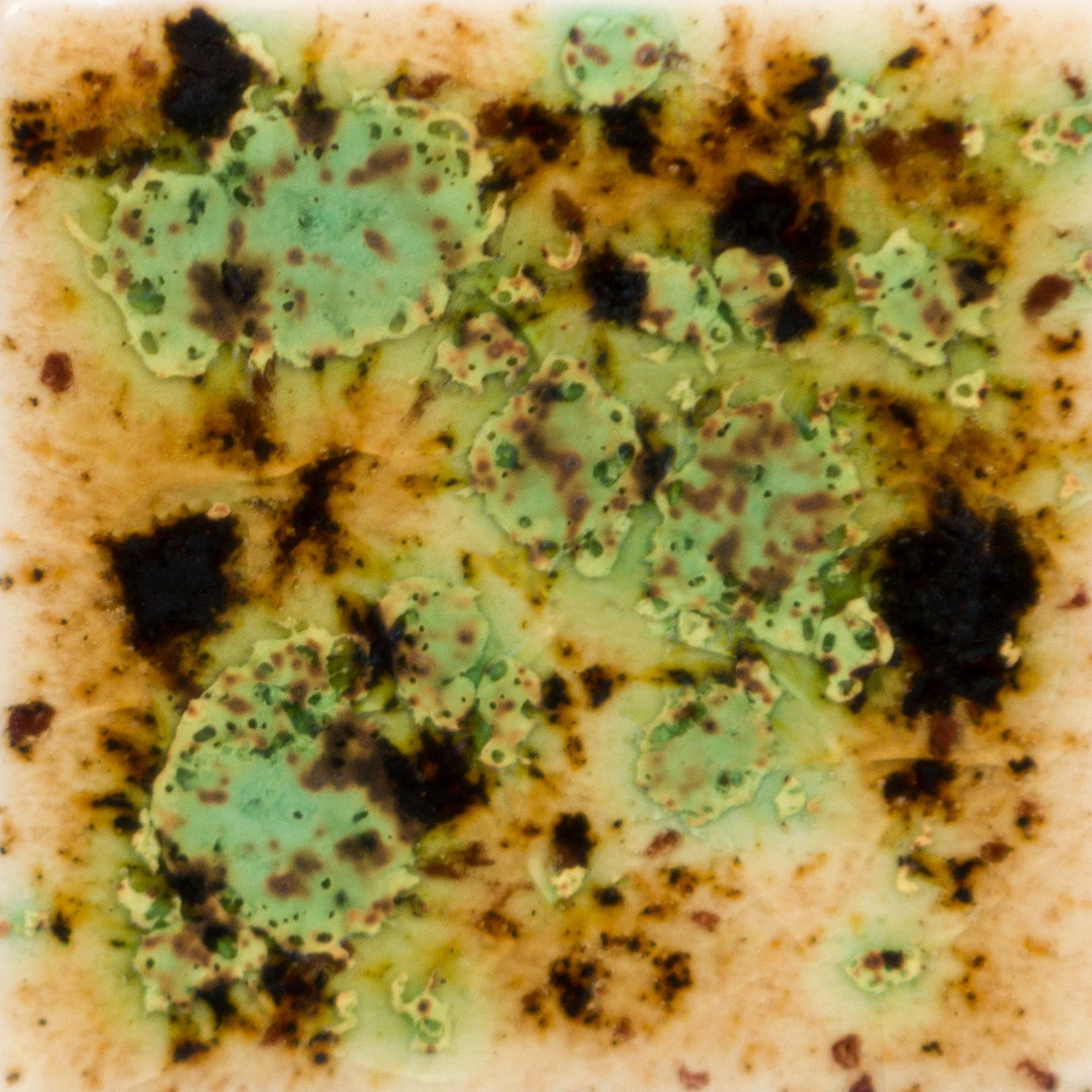 S2709 - CAPPUCINO MINT - PINT