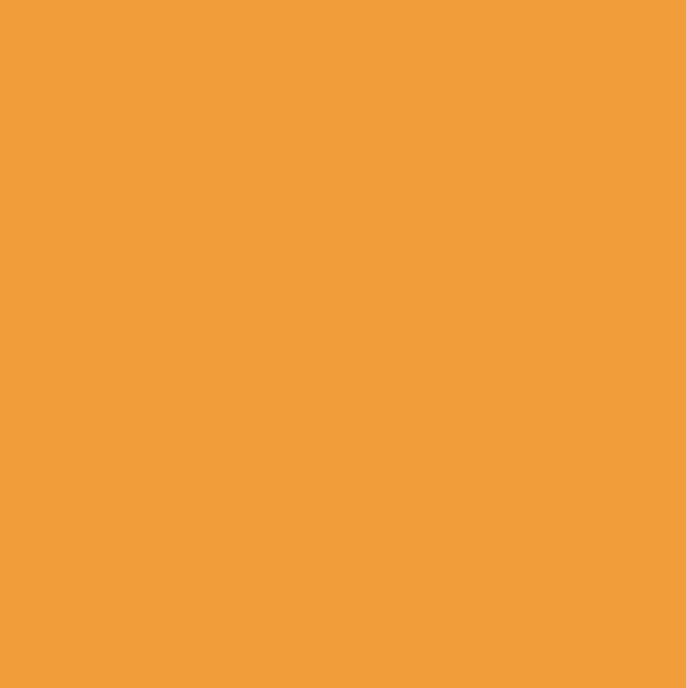 6024 ORANGE