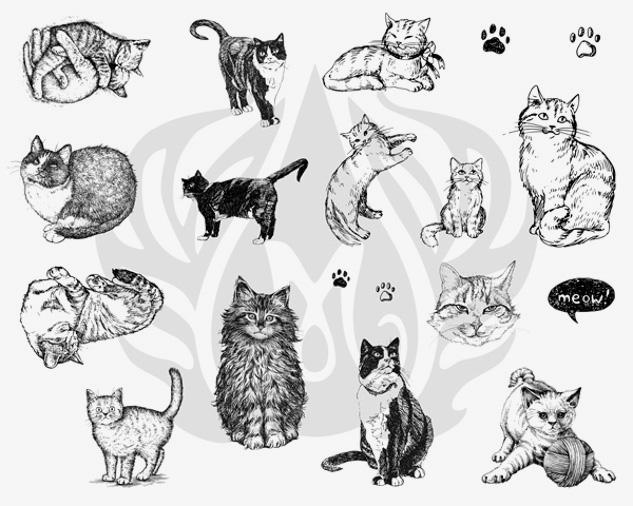 DSS0120 - CATS SILKSCREEN