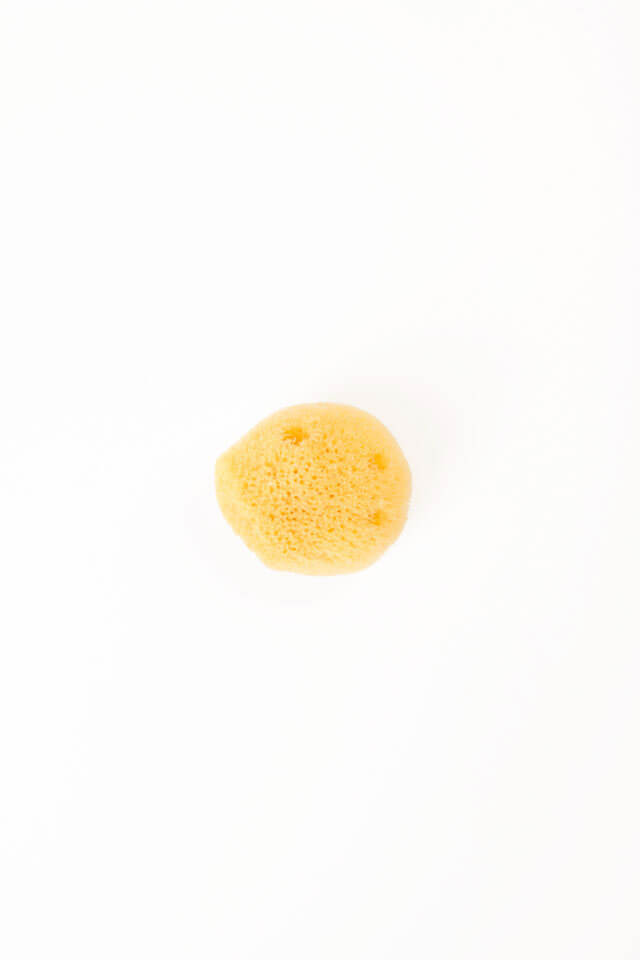 Silk Sponge