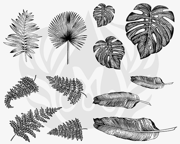 DSS0166 TROPICAL LEAVES SILKSCREEN
